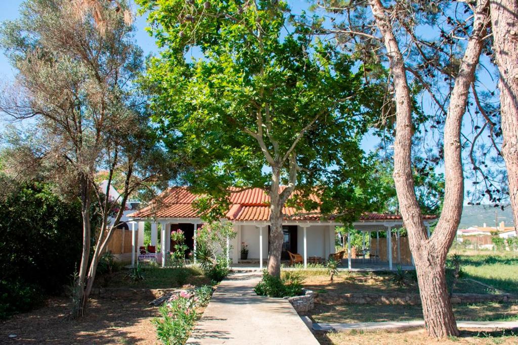 הוילה Dikella Casa Vista Al Mar מראה חיצוני תמונה